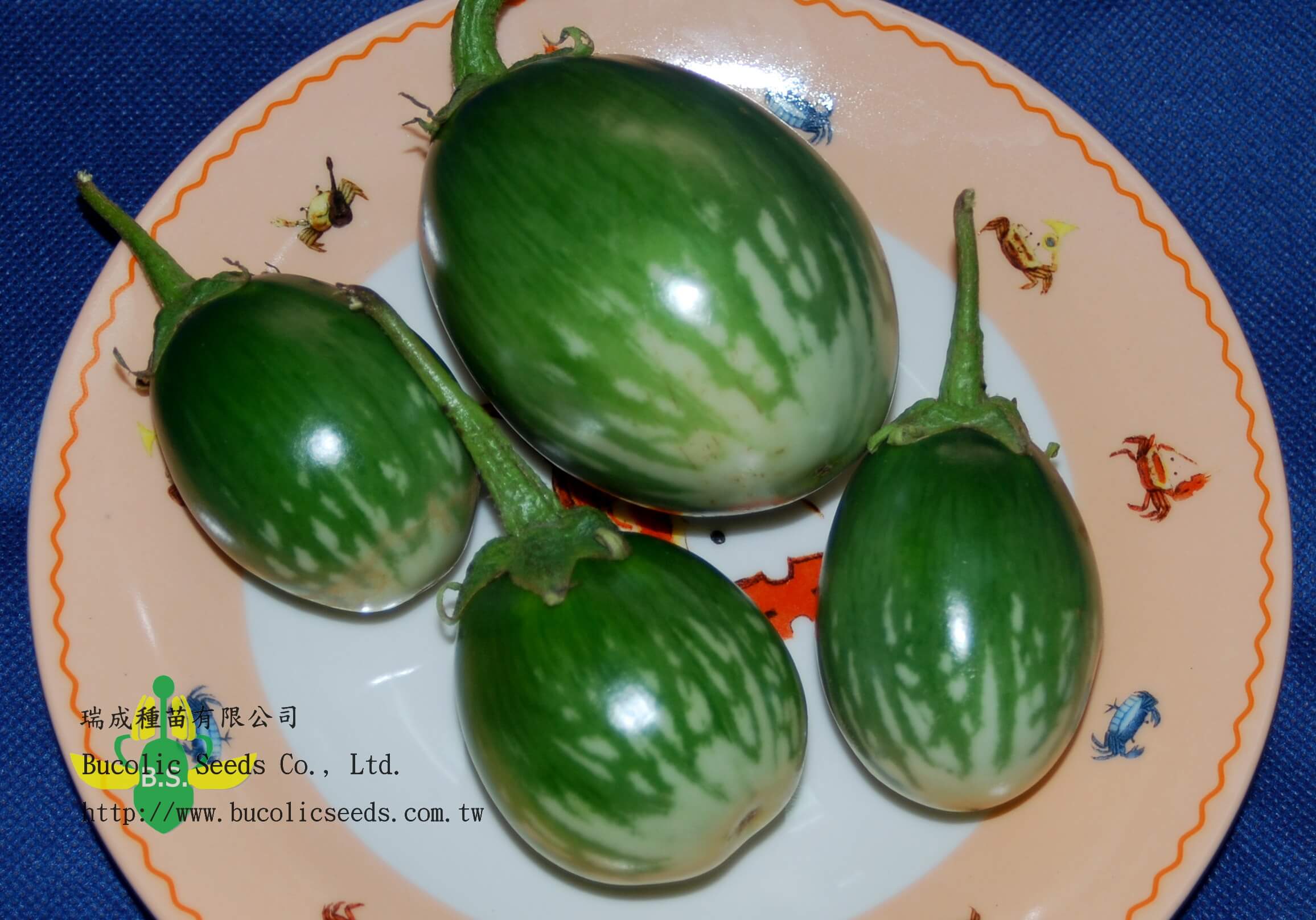 N圓茄 833